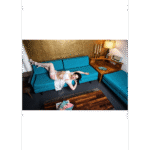 Stay-up kousen met retro polka-dot charme voor curvy en dagelijks – Kix'ies - Afbeelding 12