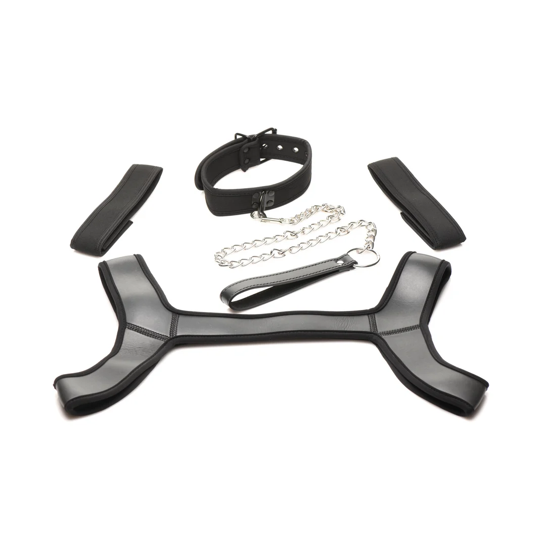 Ensemble complet Pup Arsenal XR Brands noir – Image 4