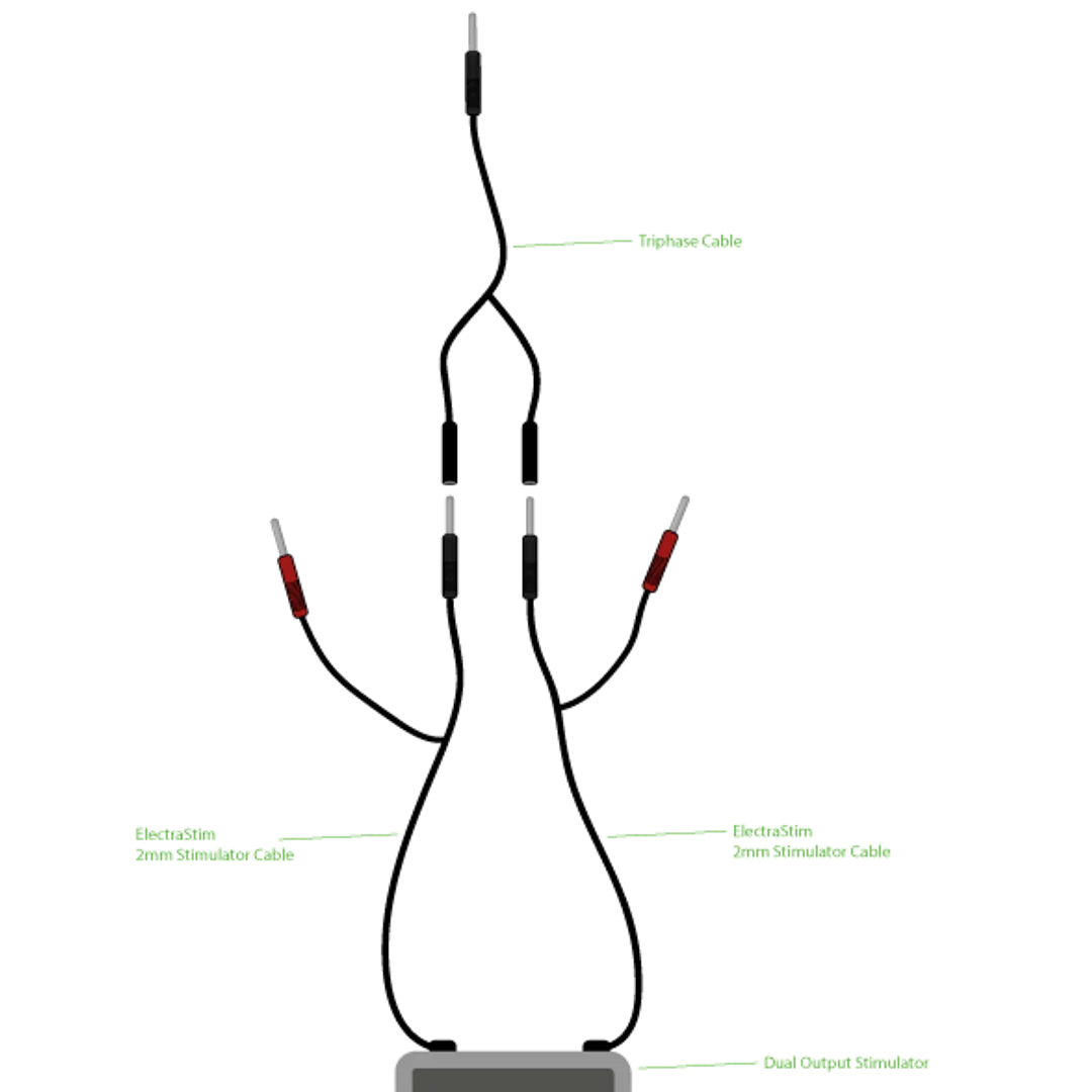 Câble combiné triphasé ElectraStim – Image 2