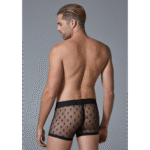 Heren boxer met sterrenmotief en ultra sheer fit voor gewaagde look – SexyPlus