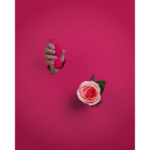 Vibrerend ei – met afstandsbediening – Loveline by Shots Aardbei Rood Loveline by Shots - Afbeelding 6