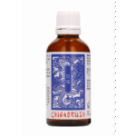 Orgasme uitstellen serum – China Brush XL 50 ml - Afbeelding 4