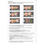 Penispomp met comfortabel ontwerp – Penis Vergroter - Afbeelding 11