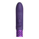 rabbit vibrator – oplaadbaar & 10 standen – Royal Gems Royal Gems by Shots - Afbeelding 7