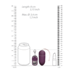 vibrerend ei – 10 standen met afstandsbediening – Zwart (L) Shots Toys by Shots - Afbeelding 18