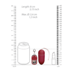 vibrerend ei – 10 standen met afstandsbediening – Zwart (L) Shots Toys by Shots - Afbeelding 29