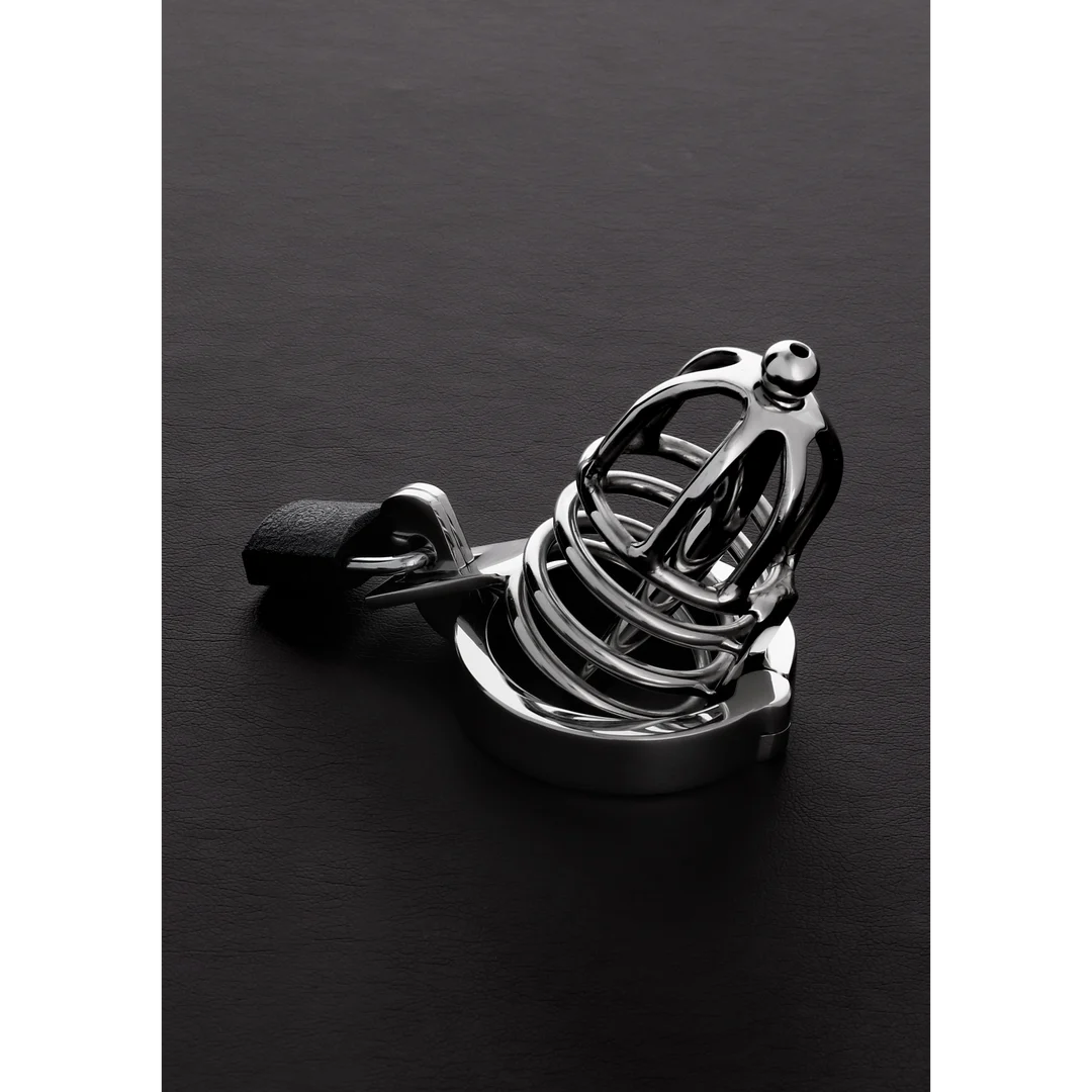 Cage de chasteté brutale en acier – Image 2