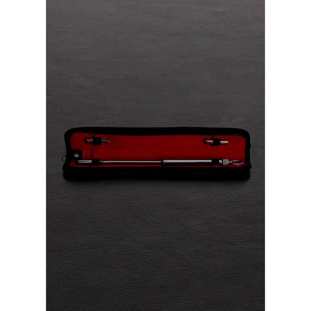 TMS-2410_1 Vibrerende urethrale dilator met gepolijste afwerking – Urethrale Geluid - Afbeelding 1